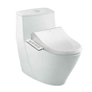 Bồn cầu nắp rửa điện tử Inax AC-919R+CW-H17VN